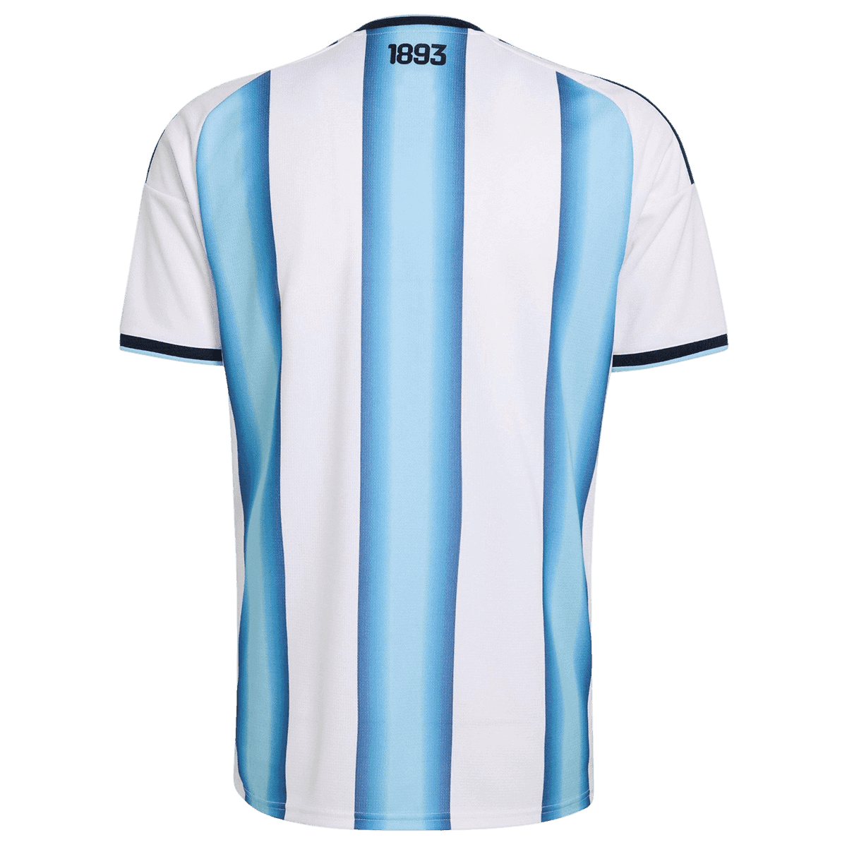 Argentina Home Player Version Jersey World Cup 2026 - Final Match(With Patches)